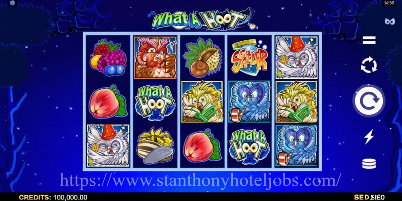 What a Hoot: Slot Hutan & Malam Penuh Kejutan