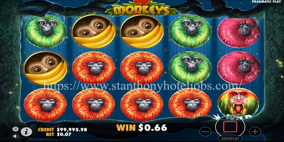 7 Monkeys: Slot Petualangan Hutan Penuh Keseruan
