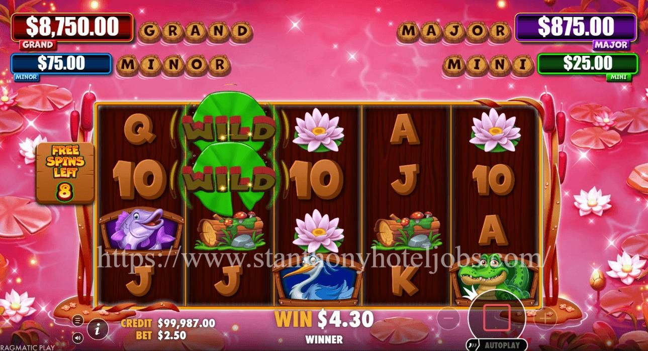 Tiny Toads: Slot Katak Kecil dengan Petualangan di Rawa Ajaib